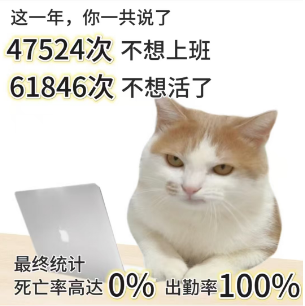 202501071443017462.Png